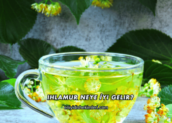 Ihlamur Neye İyi Gelir?