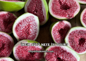 İncir Sütü Neye İyi Gelir?