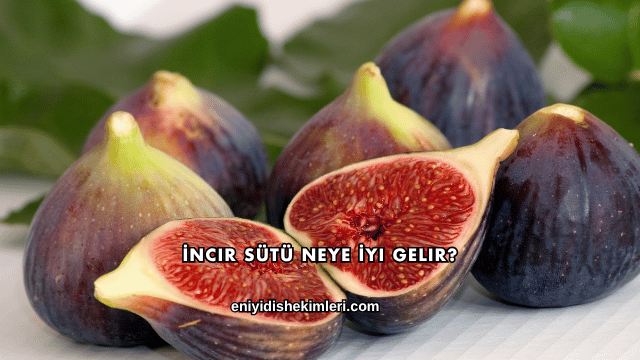 İncir Sütü Neye İyi Gelir?