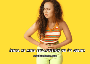 İshal ve Mide Bulantısına Ne İyi Gelir?