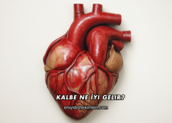 Kalbe Ne İyi Gelir?