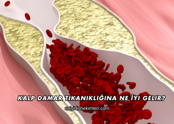 Kalp Damar Tıkanıklığına Ne İyi Gelir