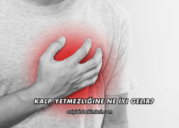 Kalp Yetmezliğine Ne İyi Gelir?