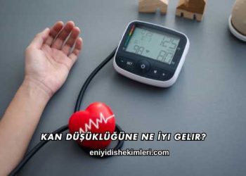 Kan Düşüklüğüne Ne İyi Gelir?