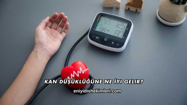 Kan Düşüklüğüne Ne İyi Gelir?