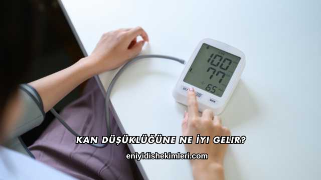 Kan Düşüklüğüne Ne İyi Gelir?