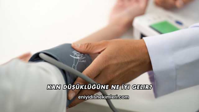 Kan Düşüklüğüne Ne İyi Gelir?