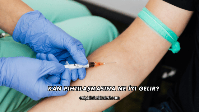 Kan Pıhtılaşmasına Ne İyi Gelir?