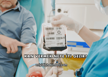 Kan Vermek Neye İyi Gelir?