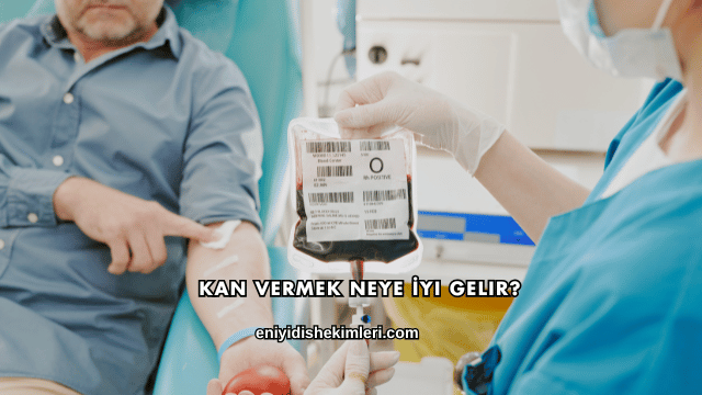 Kan Vermek Neye İyi Gelir?