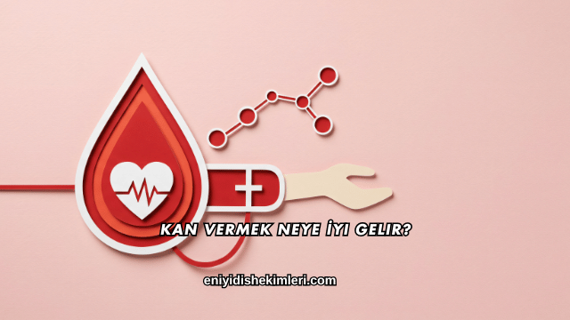 Kan Vermek Neye İyi Gelir?