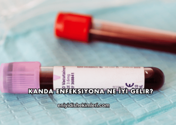 Kanda Enfeksiyona Ne İyi Gelir?