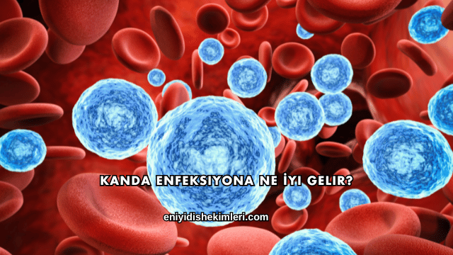 Kanda Enfeksiyona Ne İyi Gelir?