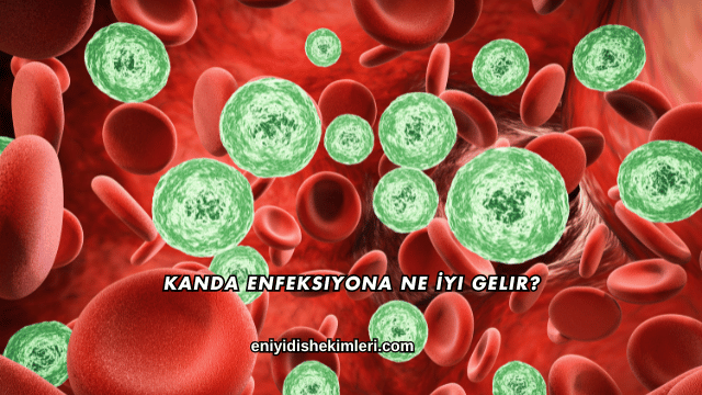 Kanda Enfeksiyona Ne İyi Gelir?