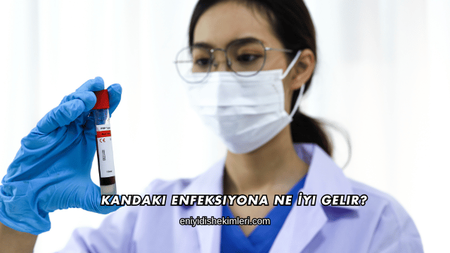 Kandaki Enfeksiyona Ne İyi Gelir?