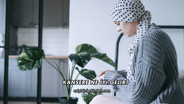 Kansere Ne İyi Gelir?