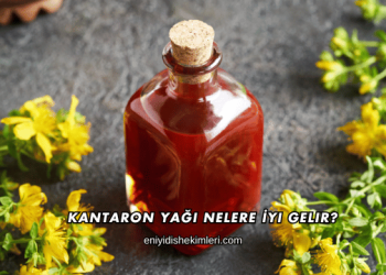 Kantaron Yağı Nelere İyi Gelir?