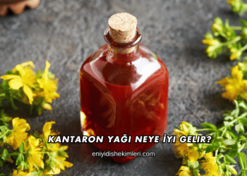Kantaron Yağı Neye İyi Gelir?