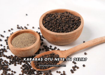 Karabaş Otu Neye İyi Gelir?