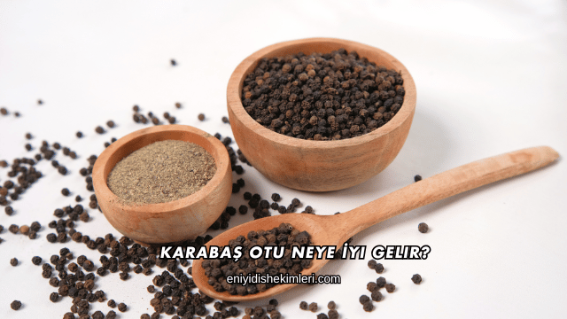 Karabaş Otu Neye İyi Gelir?
