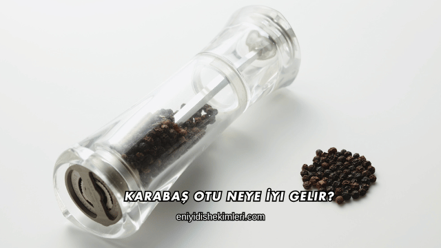 Karabaş Otu Neye İyi Gelir?