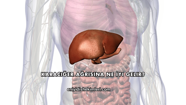 Karaciğer Ağrısına Ne İyi Gelir?