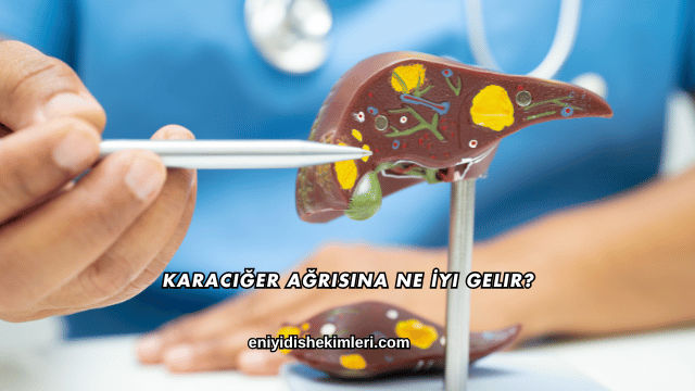 Karaciğer Ağrısına Ne İyi Gelir?