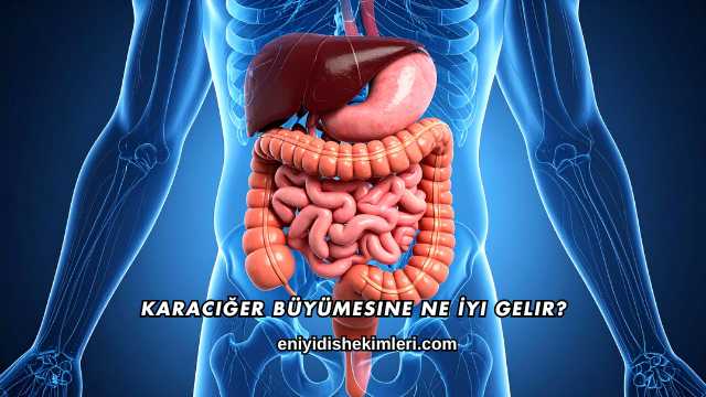 Karaciğer Büyümesine Ne İyi Gelir?