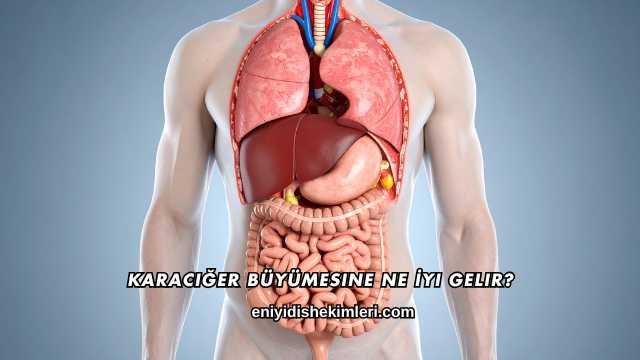 Karaciğer Büyümesine Ne İyi Gelir?