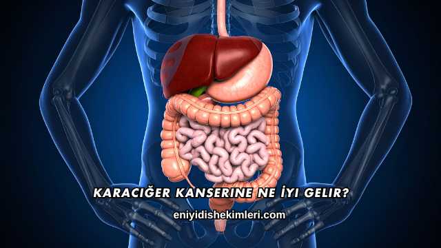 Karaciğer Kanserine Ne İyi Gelir?