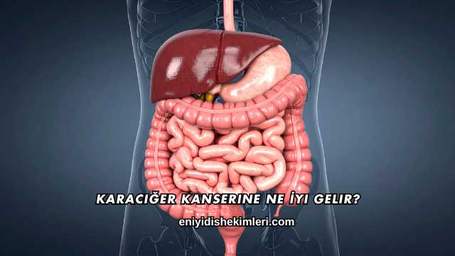 Karaciğer Kanserine Ne İyi Gelir?