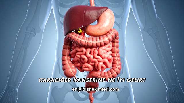 Karaciğer Kanserine Ne İyi Gelir?