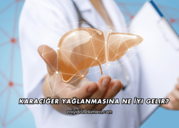 Karaciğer Yağlanmasına Ne İyi Gelir?
