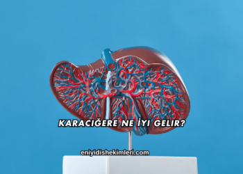 Karaciğere Ne İyi Gelir?