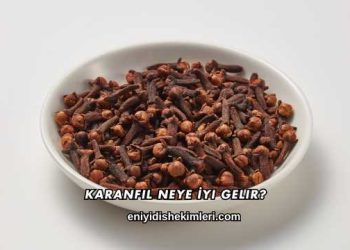 Karanfil Neye İyi Gelir?