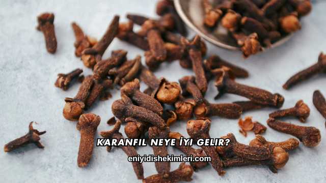 Karanfil Neye İyi Gelir?