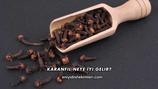 Karanfil Neye İyi Gelir?