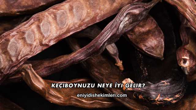 Keçiboynuzu Neye İyi Gelir