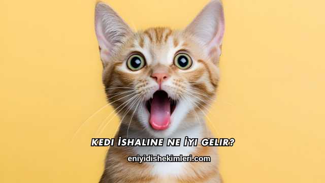 Kedi İshaline Ne İyi Gelir?