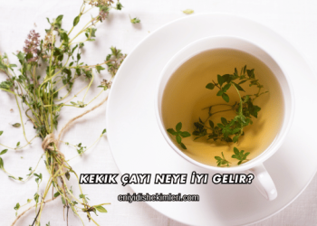 Kekik Çayı Neye İyi Gelir?