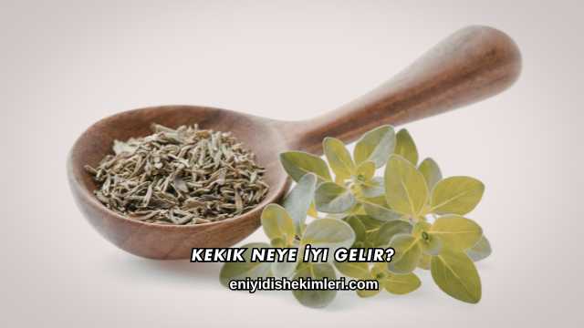 Kekik Neye İyi Gelir?