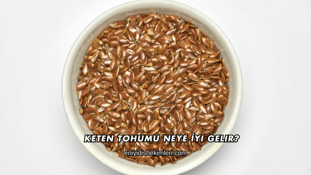 Keten Tohumu Neye İyi Gelir?