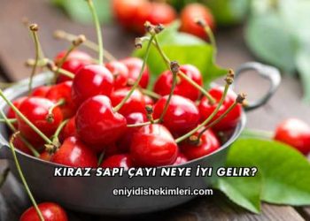 Kiraz Sapı Çayı Neye İyi Gelir?