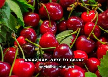 Kiraz Sapı Neye İyi Gelir?