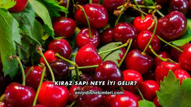 Kiraz Sapı Neye İyi Gelir?
