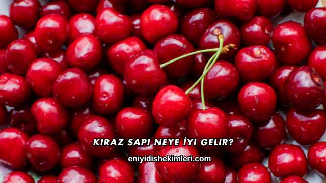 Kiraz Sapı Neye İyi Gelir?