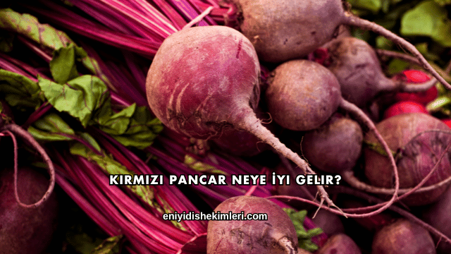 Kırmızı Pancar Neye İyi Gelir?
