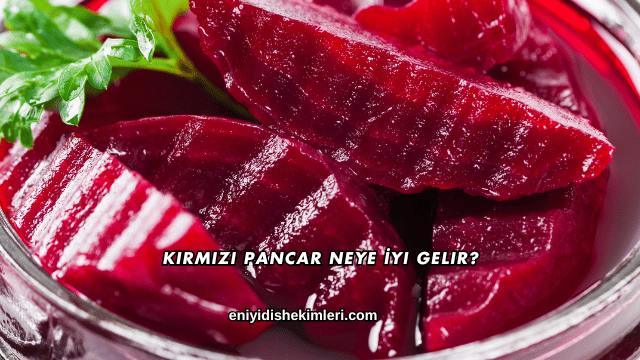 Kırmızı Pancar Neye İyi Gelir?