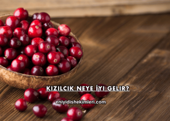 Kızılcık Neye İyi Gelir?