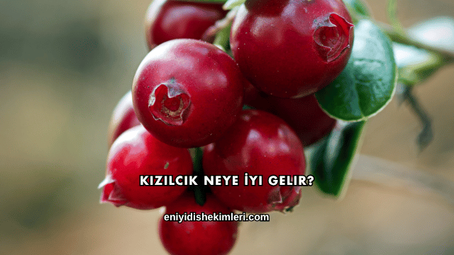 Kızılcık Neye İyi Gelir?
